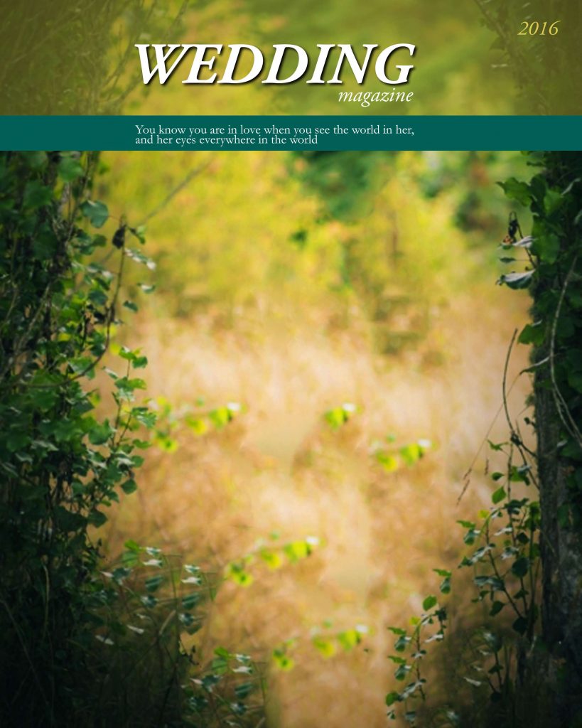 Dmax Vol-21&ndash;INDIAN WEDDING ALBUM PSD TEMPLATE