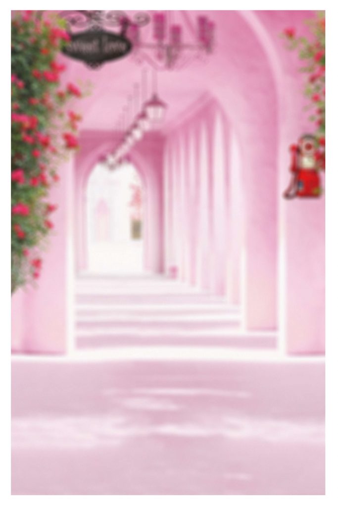 Dmax Vol-25&ndash;INDIAN WEDDING ALBUM PSD TEMPLATE
