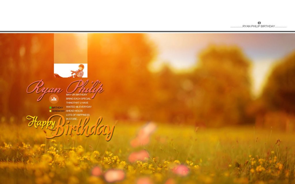 Dmax Vol-34&ndash;INDIAN WEDDING ALBUM PSD TEMPLATE