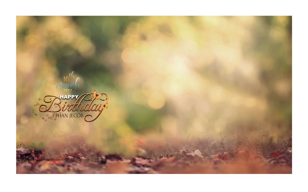Dmax Vol-34&ndash;INDIAN WEDDING ALBUM PSD TEMPLATE