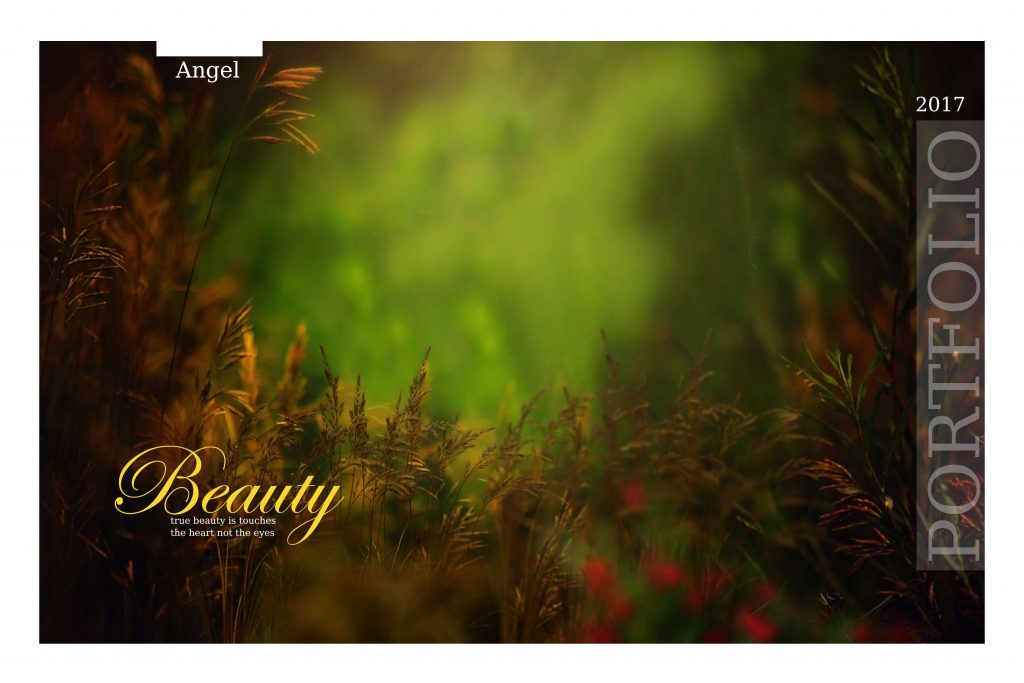 Dmax Vol-35&ndash;INDIAN WEDDING ALBUM PSD TEMPLATE