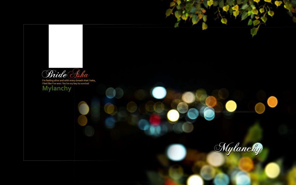 Dmax Vol-37&ndash;INDIAN WEDDING ALBUM PSD TEMPLATE