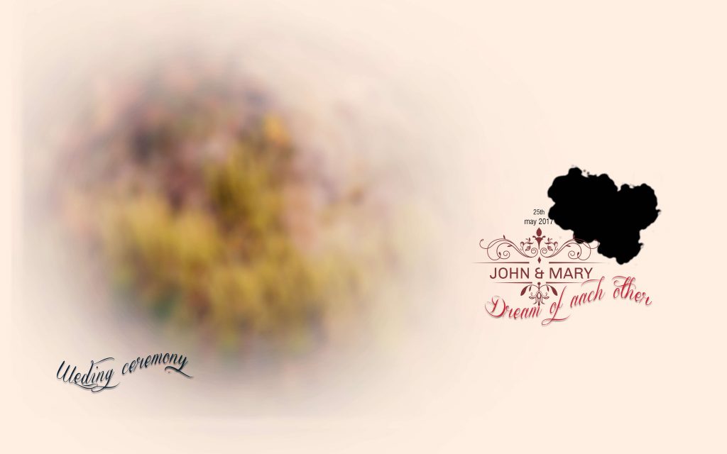 Dmax Vol-37&ndash;INDIAN WEDDING ALBUM PSD TEMPLATE