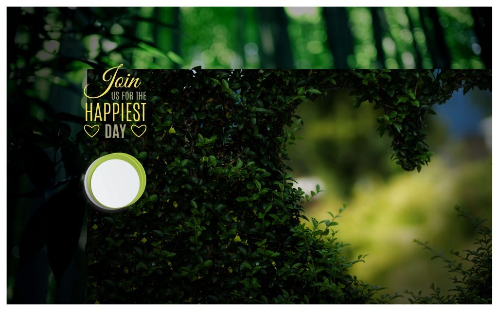 Dmax Vol-37&ndash;INDIAN WEDDING ALBUM PSD TEMPLATE
