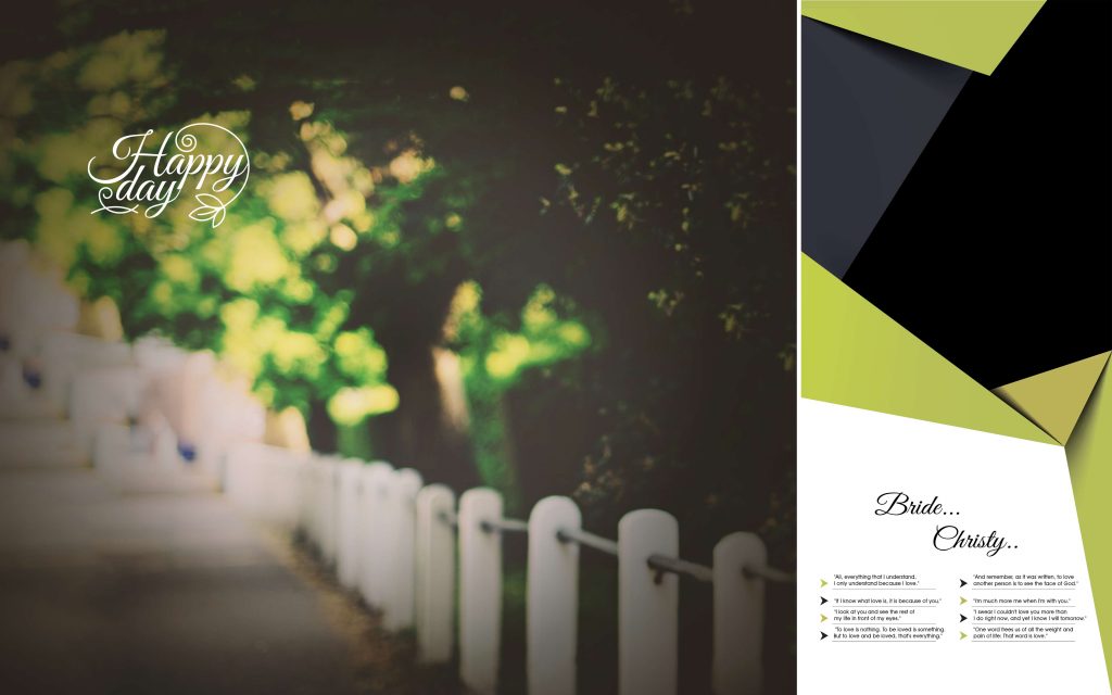 Dmax Vol-37&ndash;INDIAN WEDDING ALBUM PSD TEMPLATE