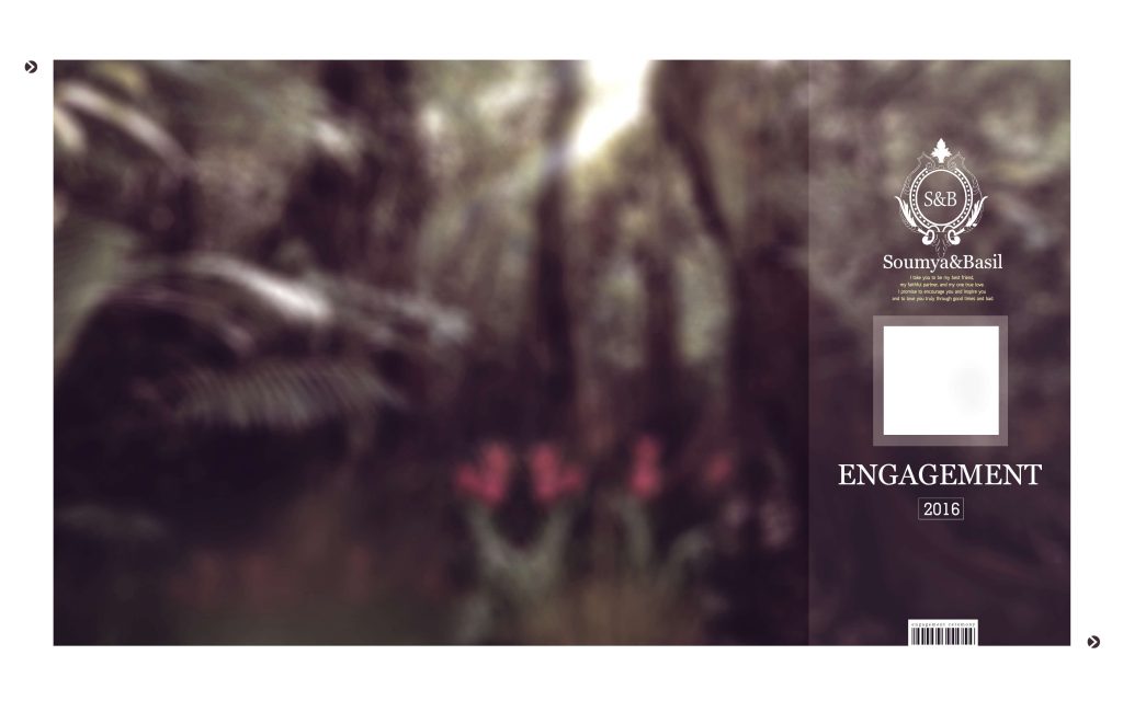 Dmax Vol-37&ndash;INDIAN WEDDING ALBUM PSD TEMPLATE