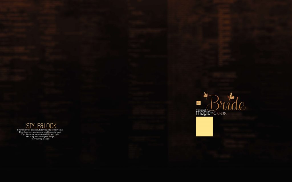 Dmax Vol-37&ndash;INDIAN WEDDING ALBUM PSD TEMPLATE