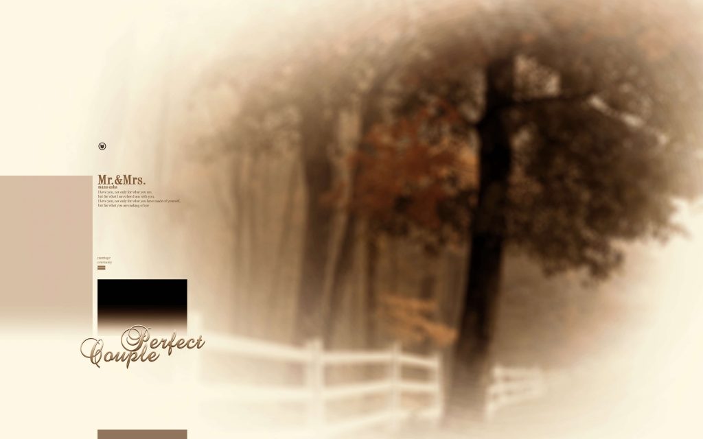 Dmax Vol-38–INDIAN WEDDING ALBUM PSD TEMPLATE