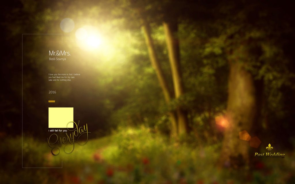Dmax Vol-38–INDIAN WEDDING ALBUM PSD TEMPLATE