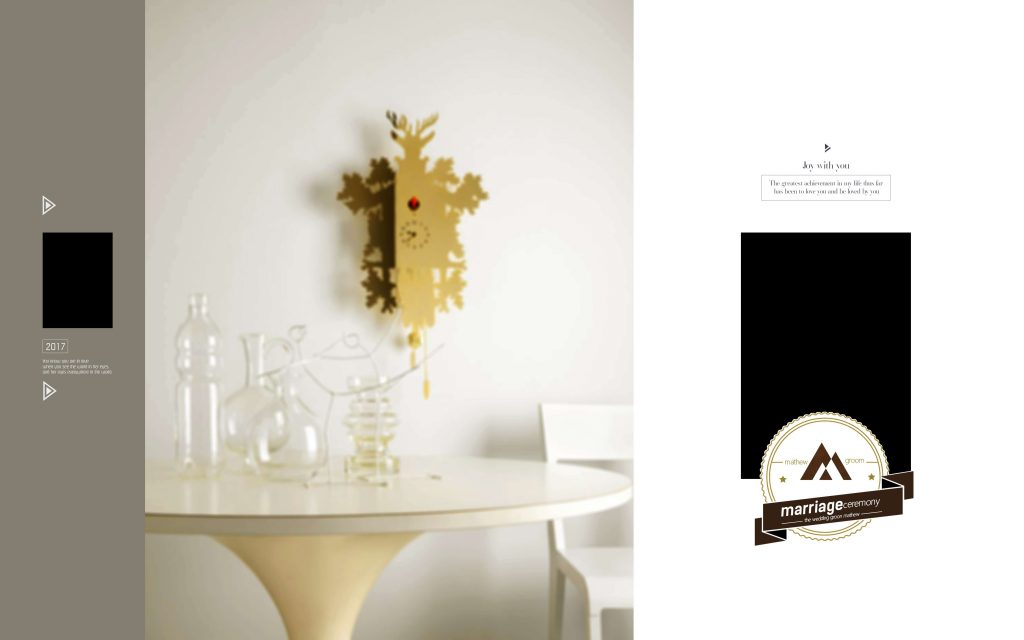 Dmax Vol-38–INDIAN WEDDING ALBUM PSD TEMPLATE