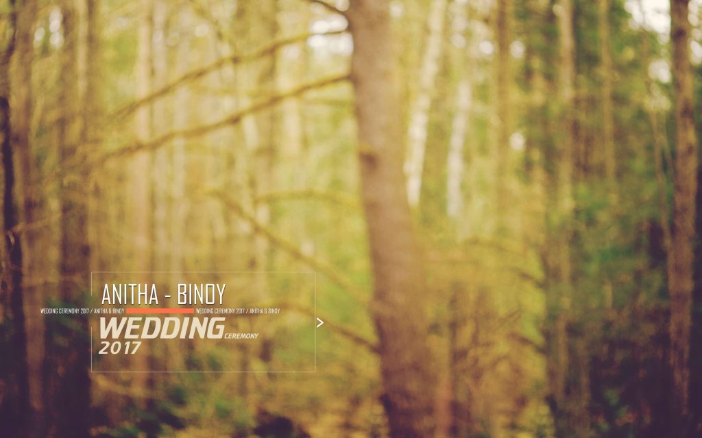 Dmax Vol-39&ndash;INDIAN WEDDING ALBUM PSD TEMPLATE