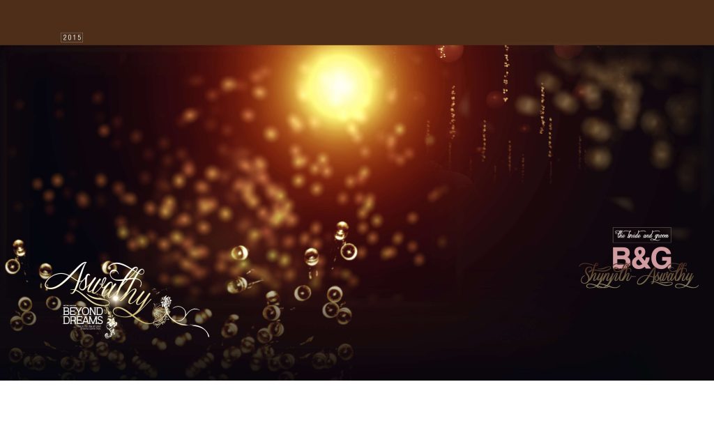 Dmax Vol-39&ndash;INDIAN WEDDING ALBUM PSD TEMPLATE