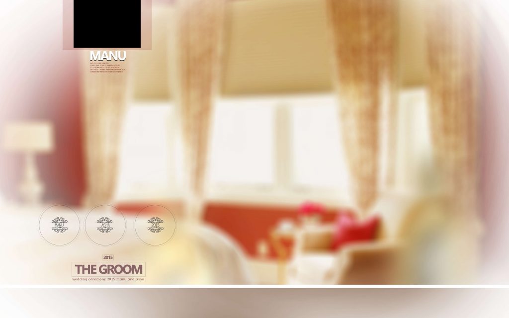 Dmax Vol-39&ndash;INDIAN WEDDING ALBUM PSD TEMPLATE