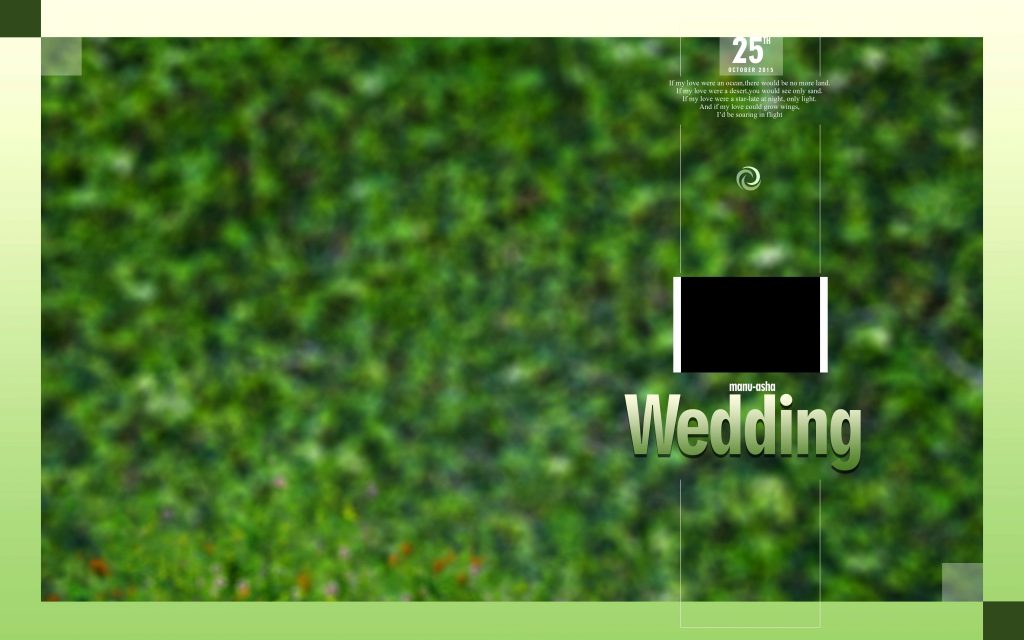 Dmax Vol-39&ndash;INDIAN WEDDING ALBUM PSD TEMPLATE