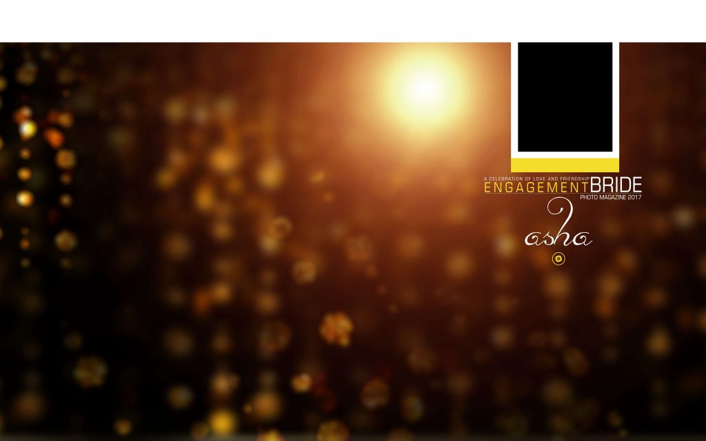 Dmax Vol-22&ndash;INDIAN WEDDING ALBUM PSD TEMPLATE