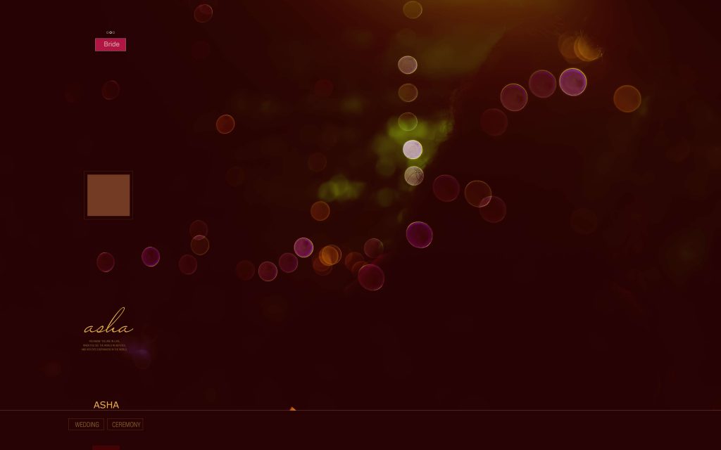 Dmax Vol-22&ndash;INDIAN WEDDING ALBUM PSD TEMPLATE