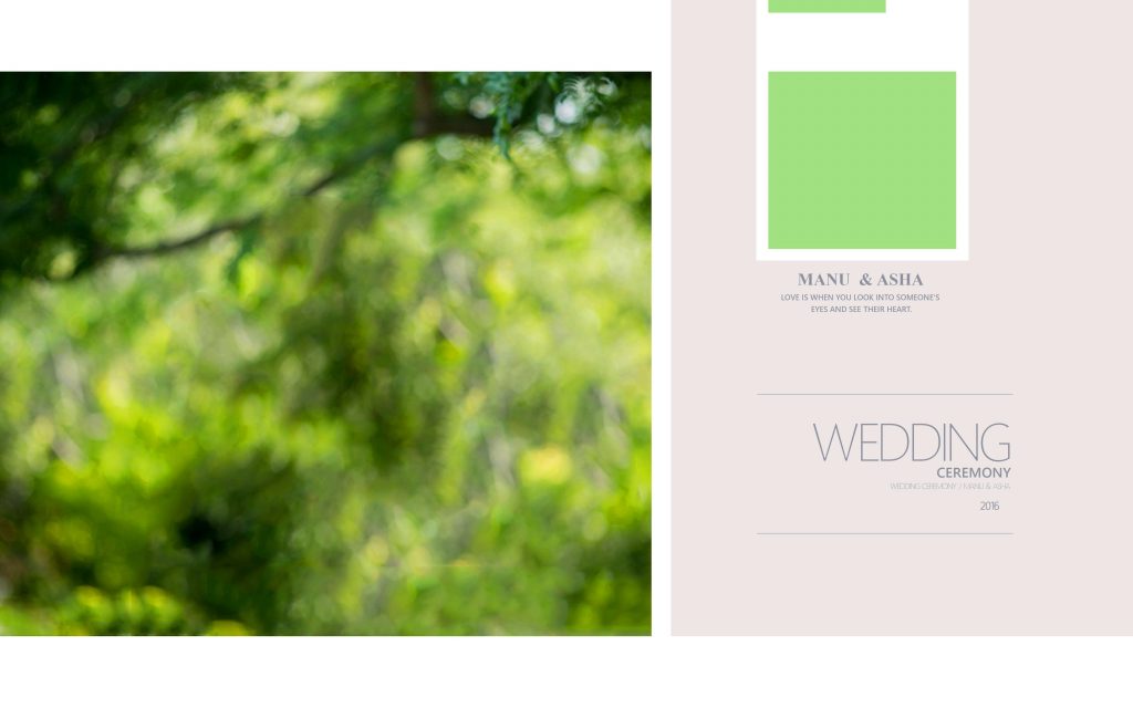 Dmax Vol-22&ndash;INDIAN WEDDING ALBUM PSD TEMPLATE