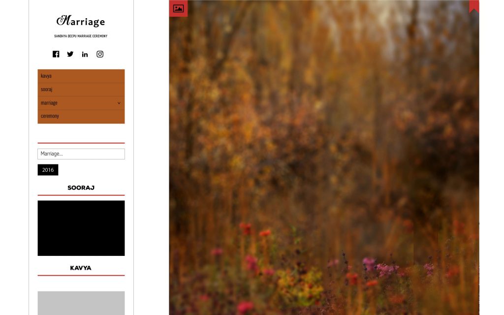 Dmax Vol-22&ndash;INDIAN WEDDING ALBUM PSD TEMPLATE