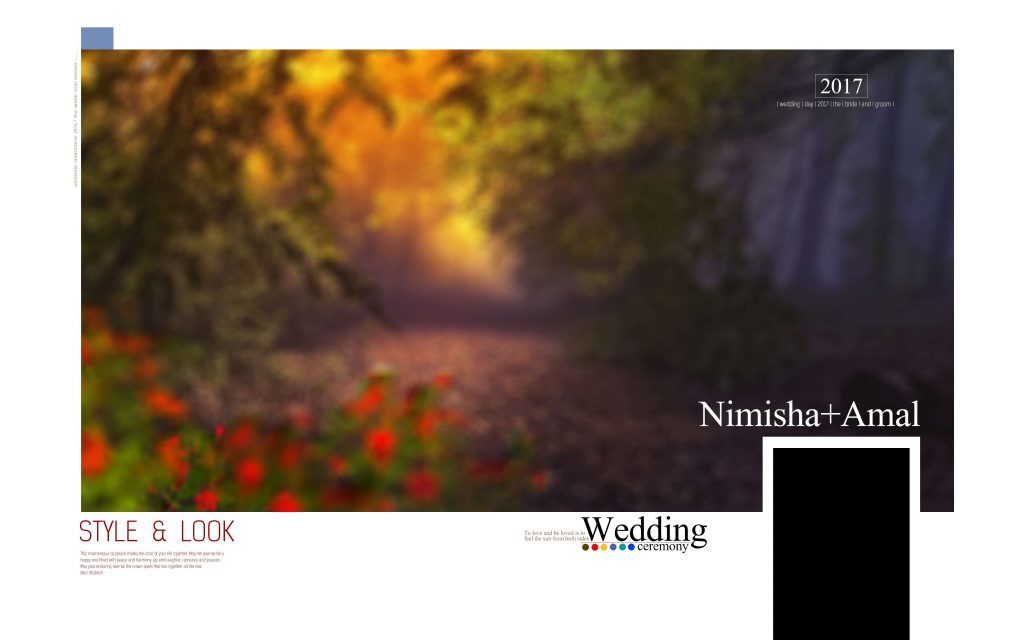 Dmax Vol-26&ndash;INDIAN WEDDING ALBUM PSD TEMPLATE