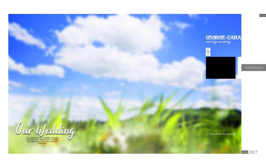 Dmax Vol-26&ndash;INDIAN WEDDING ALBUM PSD TEMPLATE