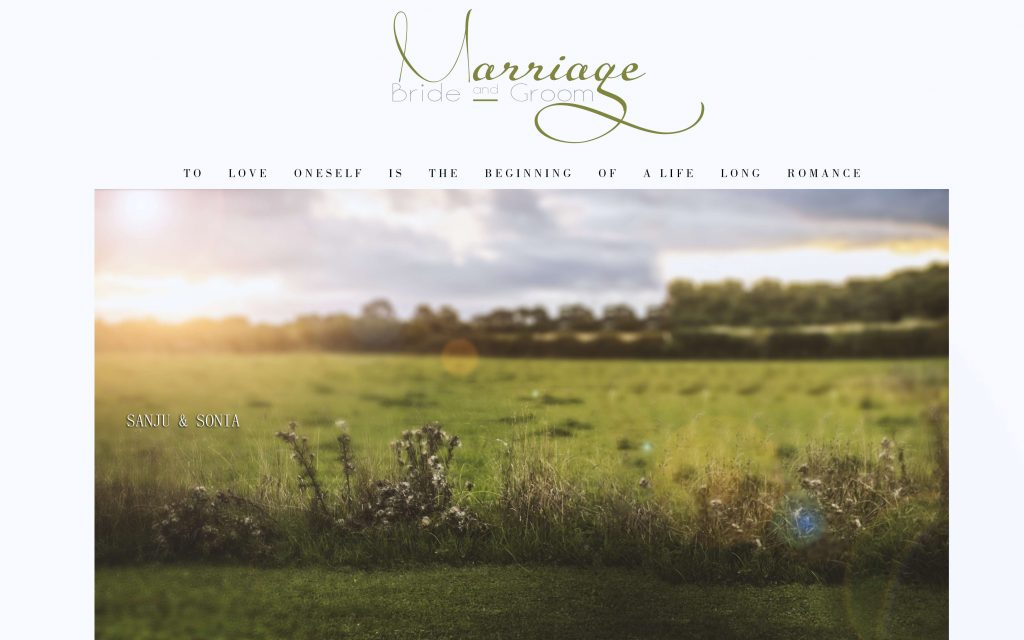 Dmax Vol-27&ndash;INDIAN WEDDING ALBUM PSD TEMPLATE