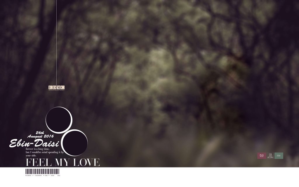 Dmax Vol-27&ndash;INDIAN WEDDING ALBUM PSD TEMPLATE