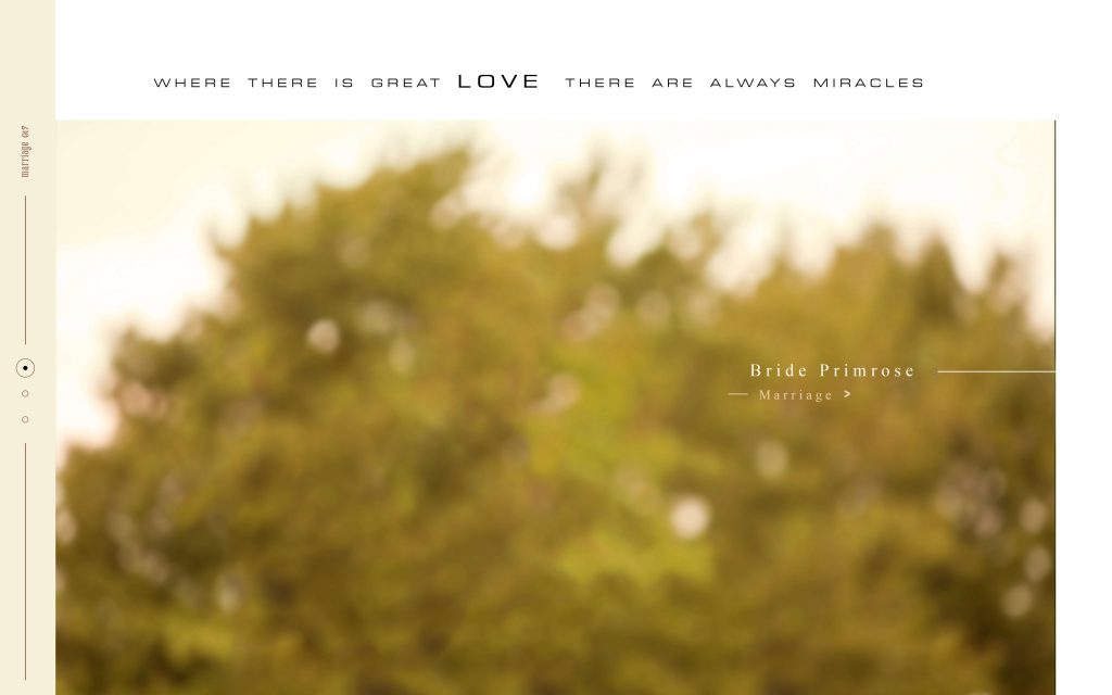 Dmax Vol-27&ndash;INDIAN WEDDING ALBUM PSD TEMPLATE