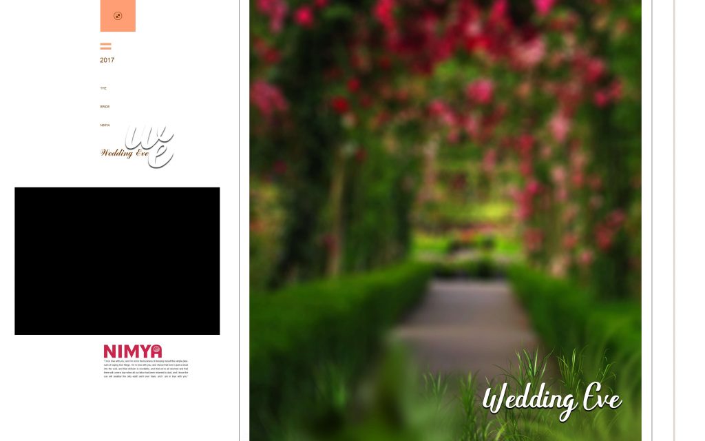 Dmax Vol-27&ndash;INDIAN WEDDING ALBUM PSD TEMPLATE