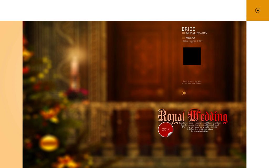 Dmax Vol-27&ndash;INDIAN WEDDING ALBUM PSD TEMPLATE