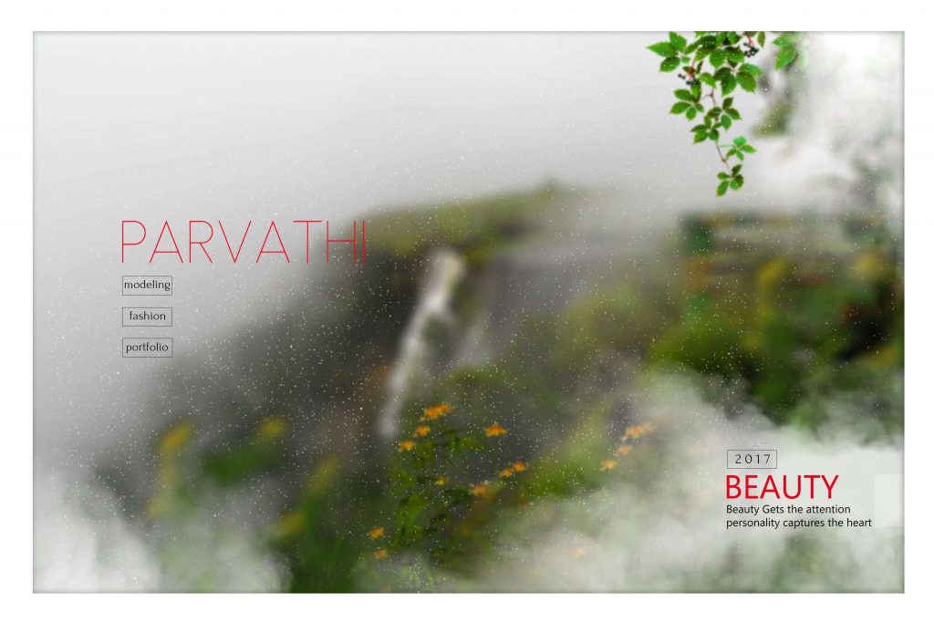 Dmax Vol-28&ndash;INDIAN WEDDING ALBUM PSD TEMPLATE