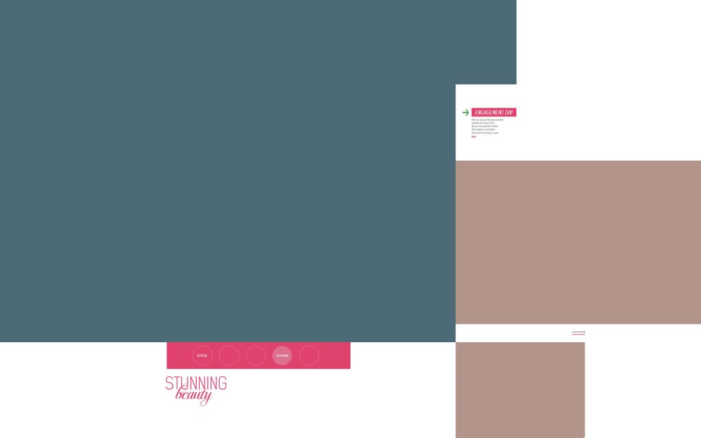Dmax Vol-29&ndash;INDIAN WEDDING ALBUM PSD TEMPLATE