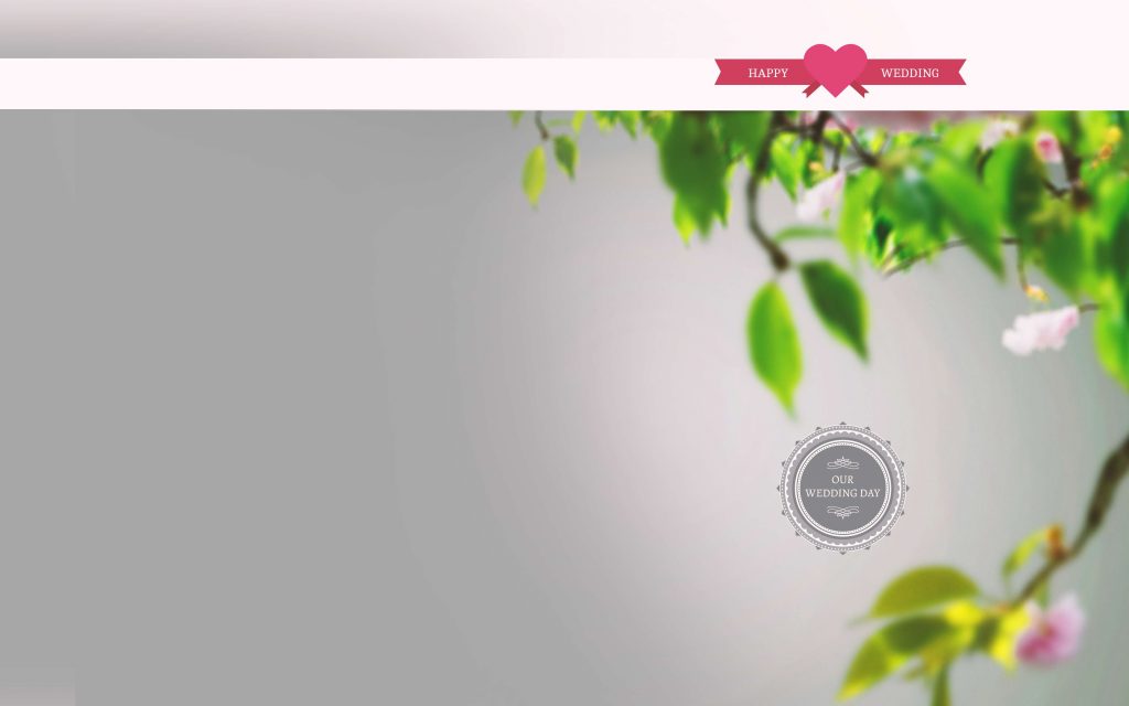 Dmax Vol-36&ndash;INDIAN WEDDING ALBUM PSD TEMPLATE