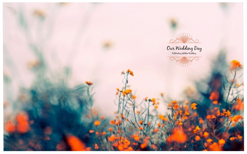Dmax Vol-36&ndash;INDIAN WEDDING ALBUM PSD TEMPLATE