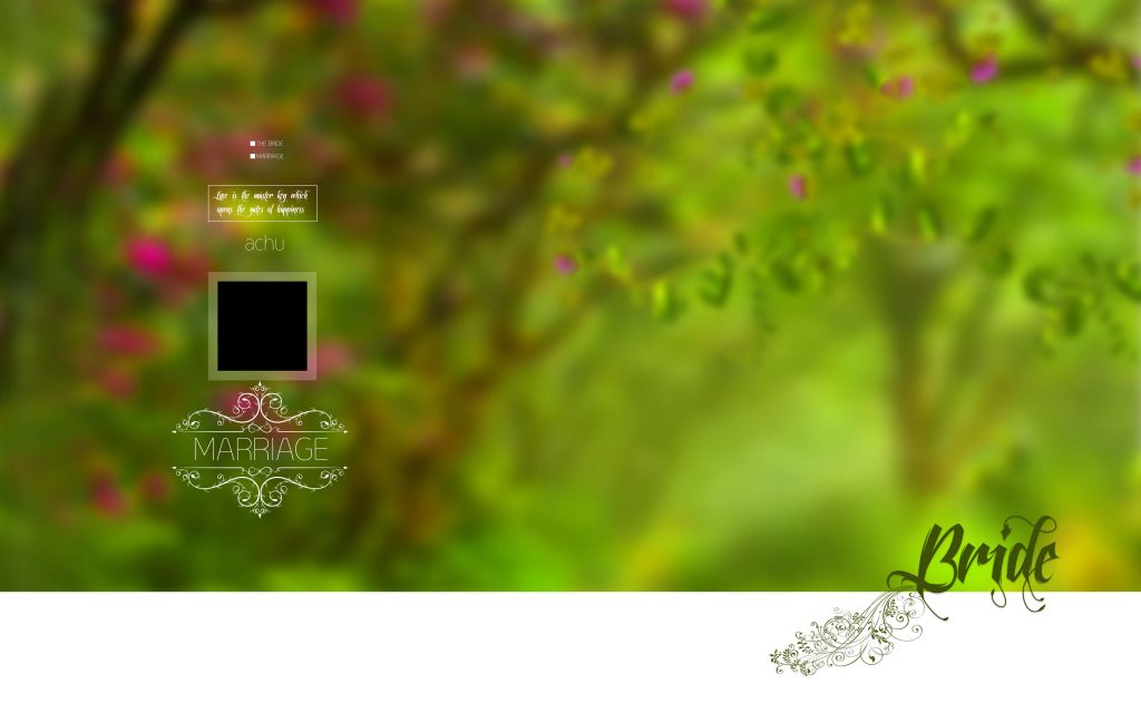 Dmax Vol-36&ndash;INDIAN WEDDING ALBUM PSD TEMPLATE
