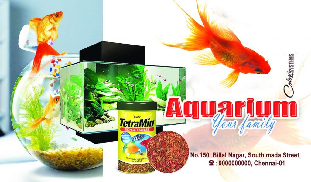Aquarium Psd Template Free Download &ndash; karkitechs.com