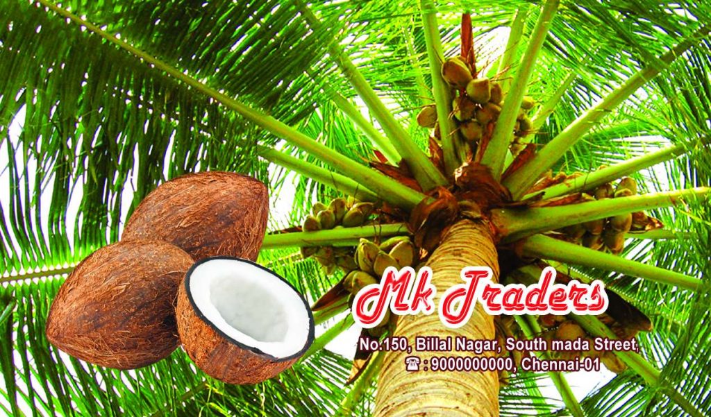 Coconut Traders Psd Template Free Download – karkitechs.com