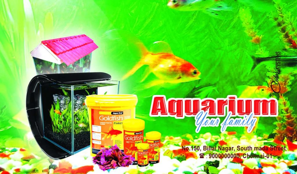 Aquarium Psd Template Free Download &ndash; karkitechs.com