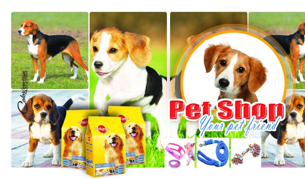 PET Animal Psd Template Free Download &ndash; karkitechs.com