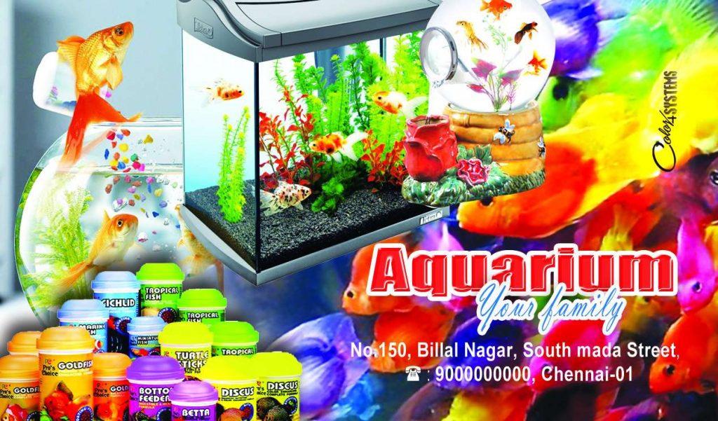 Aquarium Psd Template Free Download &ndash; karkitechs.com