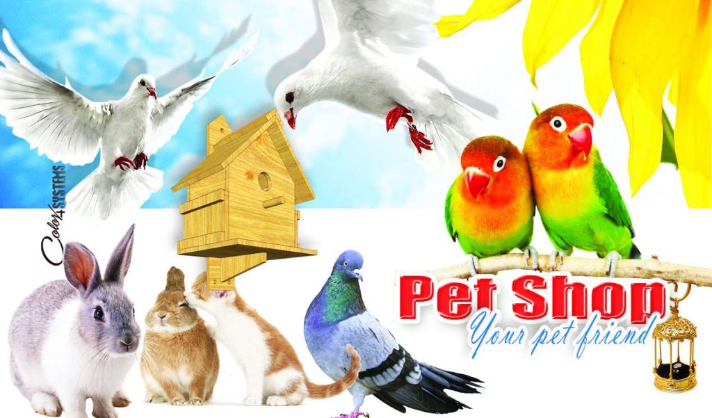 PET Animal Psd Template Free Download &ndash; karkitechs.com