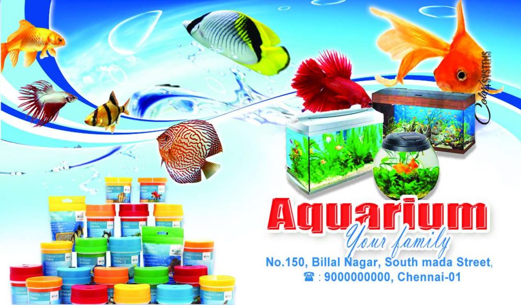 Aquarium Psd Template Free Download &ndash; karkitechs.com