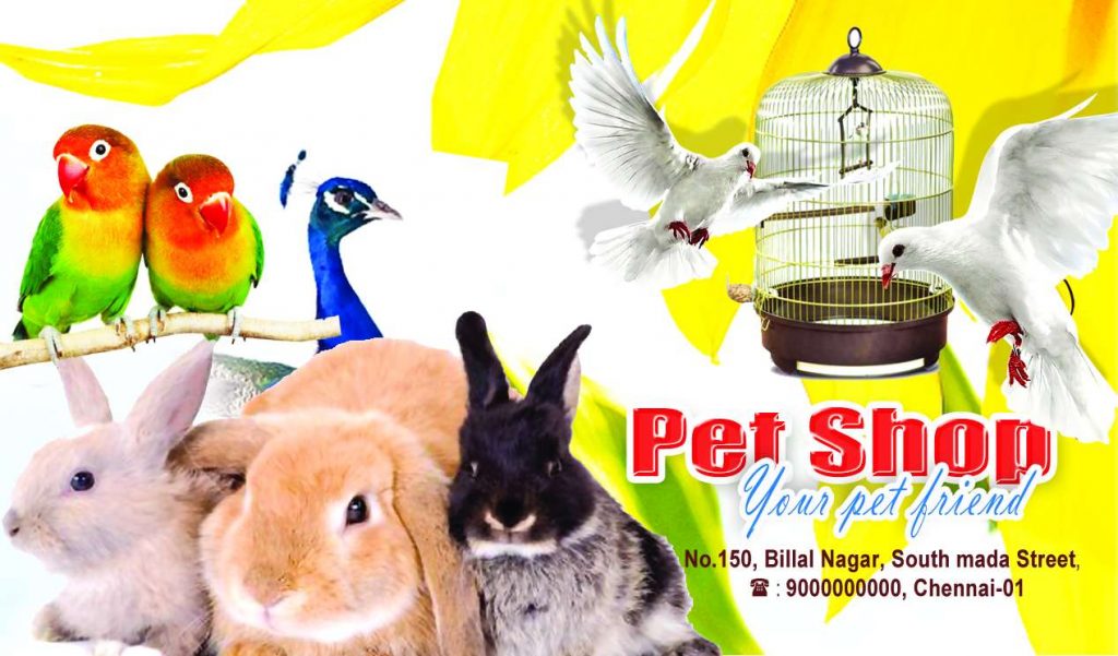 PET Animal Psd Template Free Download &ndash; karkitechs.com