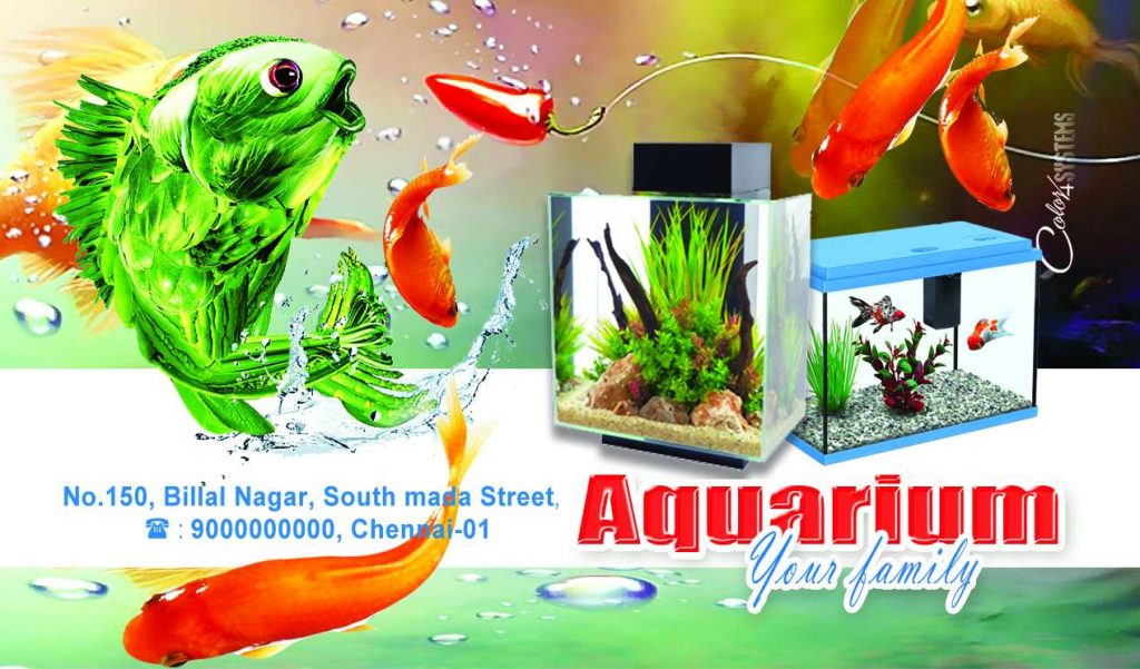 Aquarium Psd Template Free Download &ndash; karkitechs.com