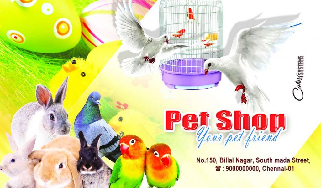PET Animal Psd Template Free Download &ndash; karkitechs.com