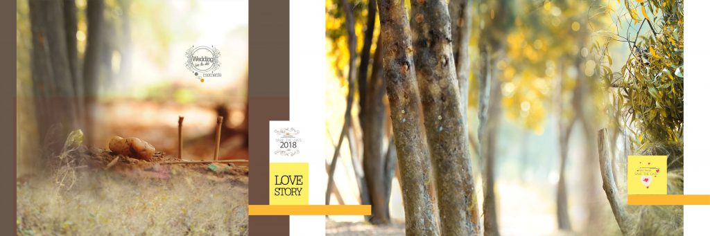 Dmax Vol-67–INDIAN WEDDING ALBUM PSD TEMPLATE