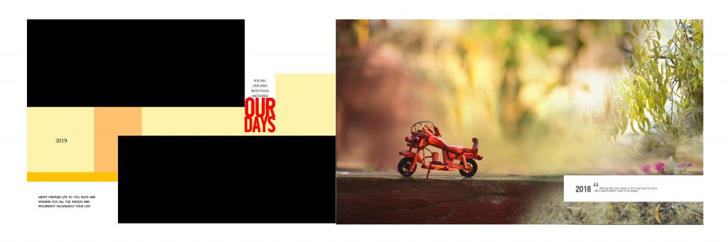 Dmax Vol-67–INDIAN WEDDING ALBUM PSD TEMPLATE
