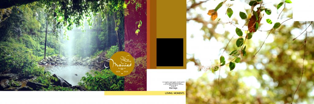 Dmax Vol-67–INDIAN WEDDING ALBUM PSD TEMPLATE