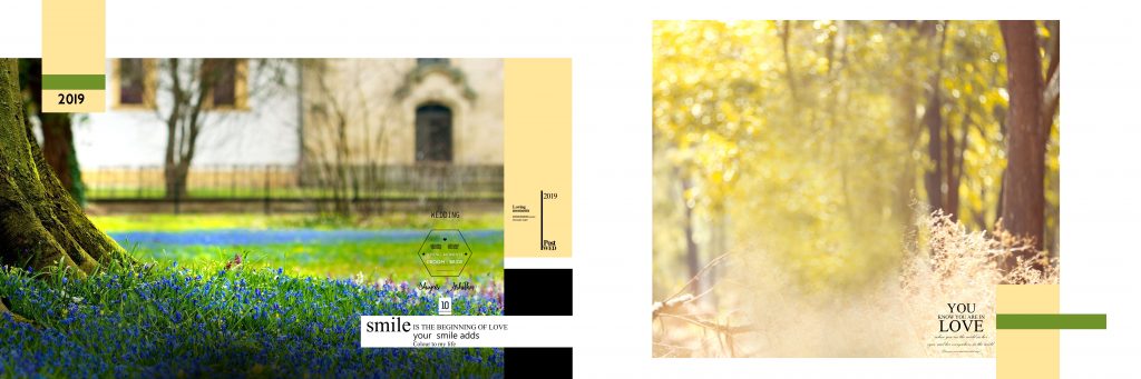 Dmax Vol-67–INDIAN WEDDING ALBUM PSD TEMPLATE