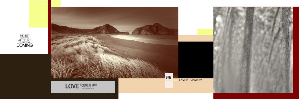 Dmax Vol-67–INDIAN WEDDING ALBUM PSD TEMPLATE