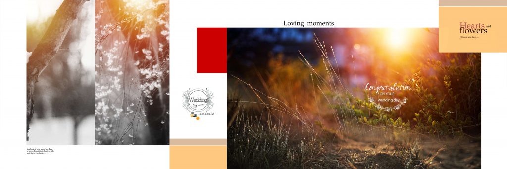Dmax Vol-67–INDIAN WEDDING ALBUM PSD TEMPLATE